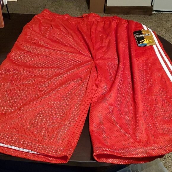 Men's Double Layered Mesh Shorts Big & Tall - Picture 1 of 7